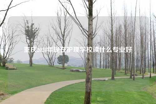 重庆2024年现在护理学校读什么专业好