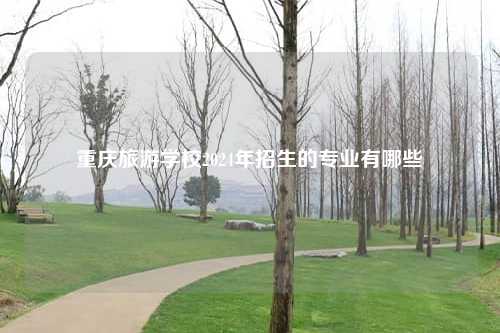 重庆旅游学校2024年招生的专业有哪些