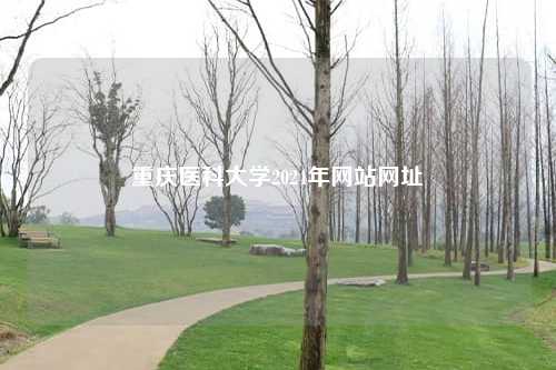 重庆医科大学2024年网站网址